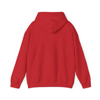 HKS Fab - Clean Hoodie